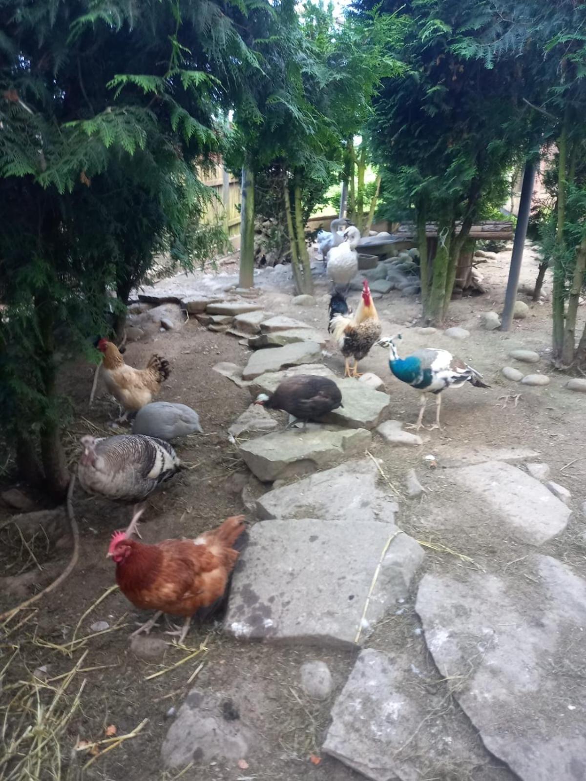 Koperkowe Rancho Beskid Wyspowy Domek Malopolskie Kamionna Kamionna  Extérieur photo