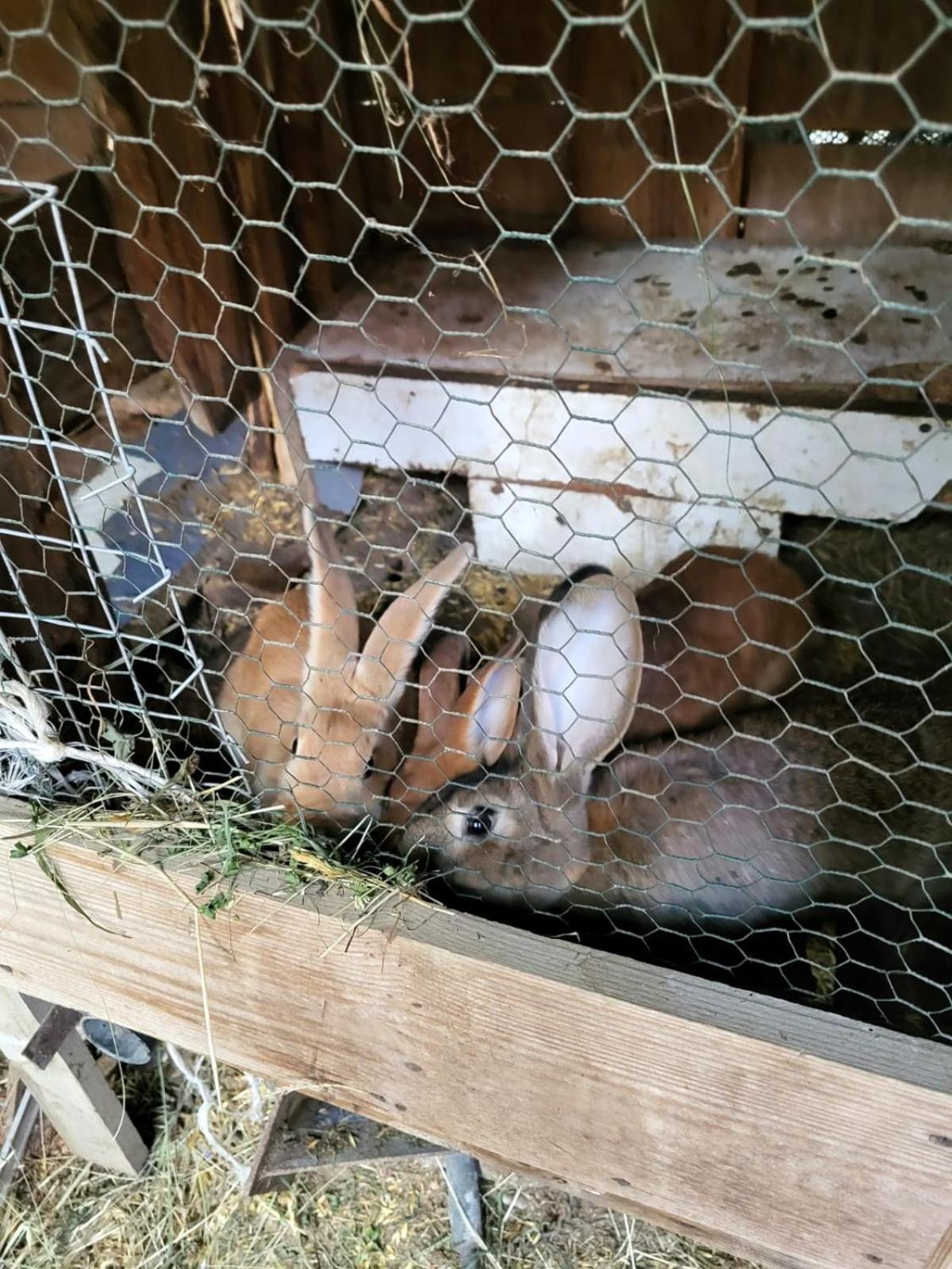 Koperkowe Rancho Beskid Wyspowy Domek Malopolskie Kamionna Kamionna  Extérieur photo