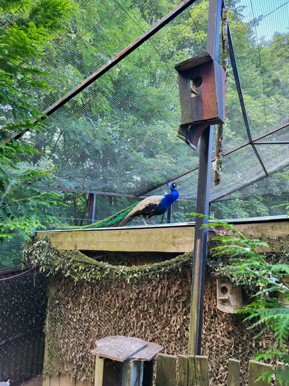 Koperkowe Rancho Beskid Wyspowy Domek Malopolskie Kamionna Kamionna  Extérieur photo