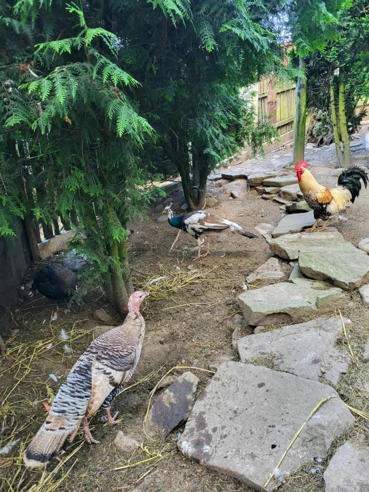 Koperkowe Rancho Beskid Wyspowy Domek Malopolskie Kamionna Kamionna  Extérieur photo