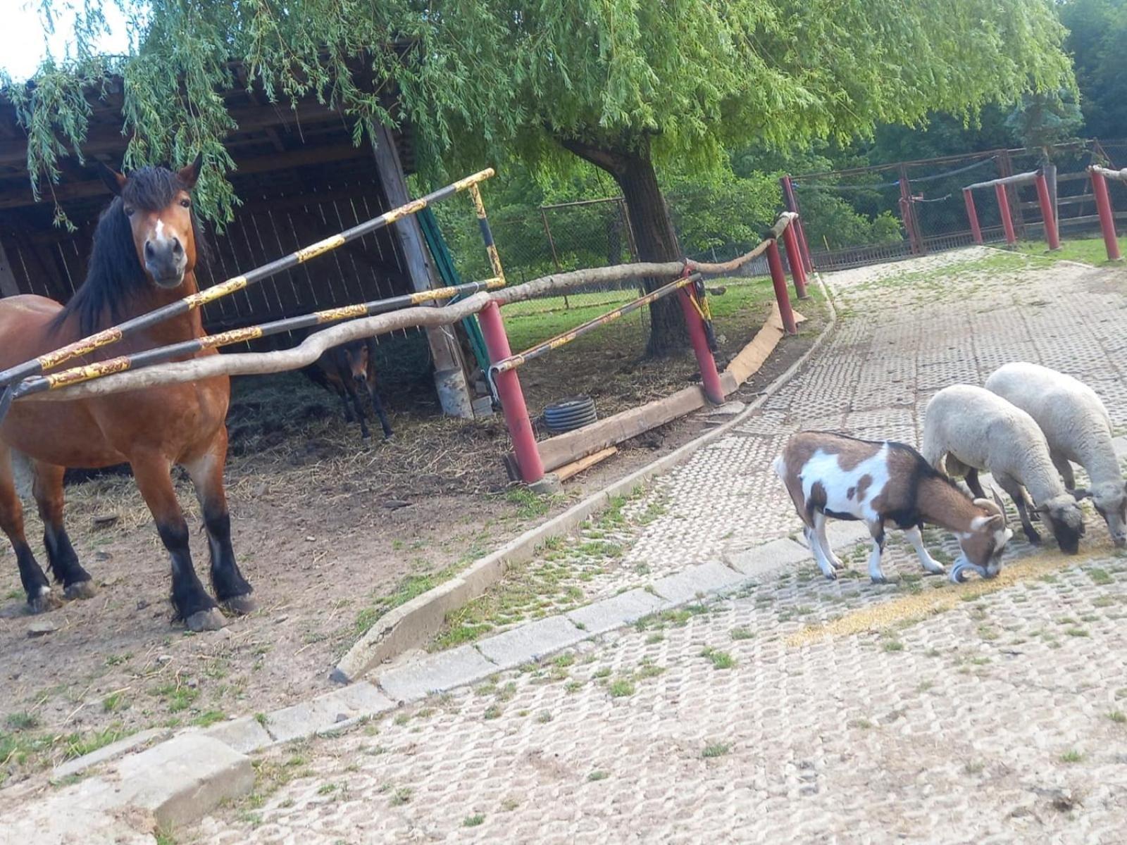 Koperkowe Rancho Beskid Wyspowy Domek Malopolskie Kamionna Kamionna  Extérieur photo